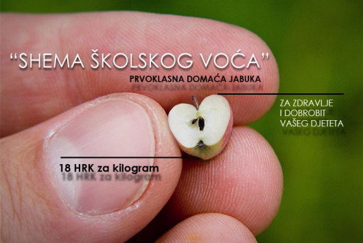 shema_skolskog_voca